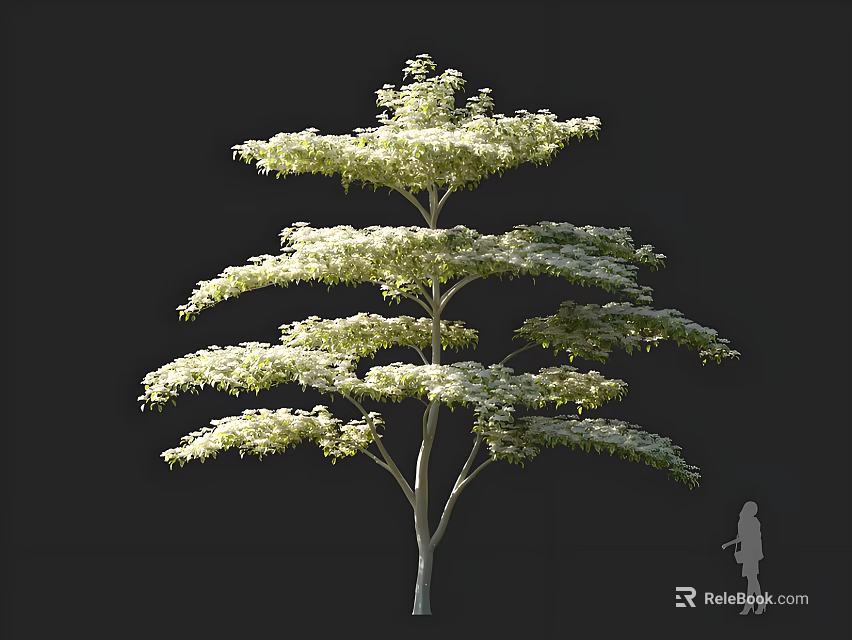 Tall Arbor with Lush Layered Canopy and Human Figure for Scale in 3D Rendering 3d model 