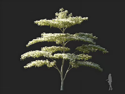 Tall Arbor with Lush Layered Canopy and Human Figure for Scale in 3D Rendering 3d model