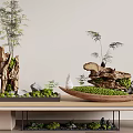 Natural Wood Base Decorative Ornament Set With Green Plants And Small Stones