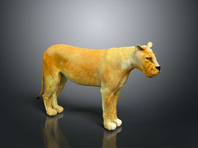 Lifelike Golden Yellow Standing Lion Statue With Realistic Details On Dark Background 3d model