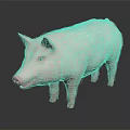 Realistic Full Body Pink Pig Standing on Dark Background with Reflection 3d model