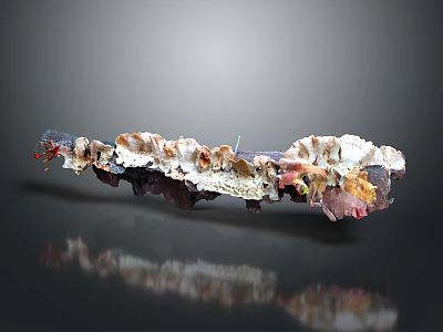 Unique Plants Growing On Rock Like Structure With Natural Colors And Organic Form 3d model