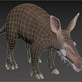 Unique Reptile With Long Snout Large Ears Sturdy Limbs And Gray Skin In Grassland