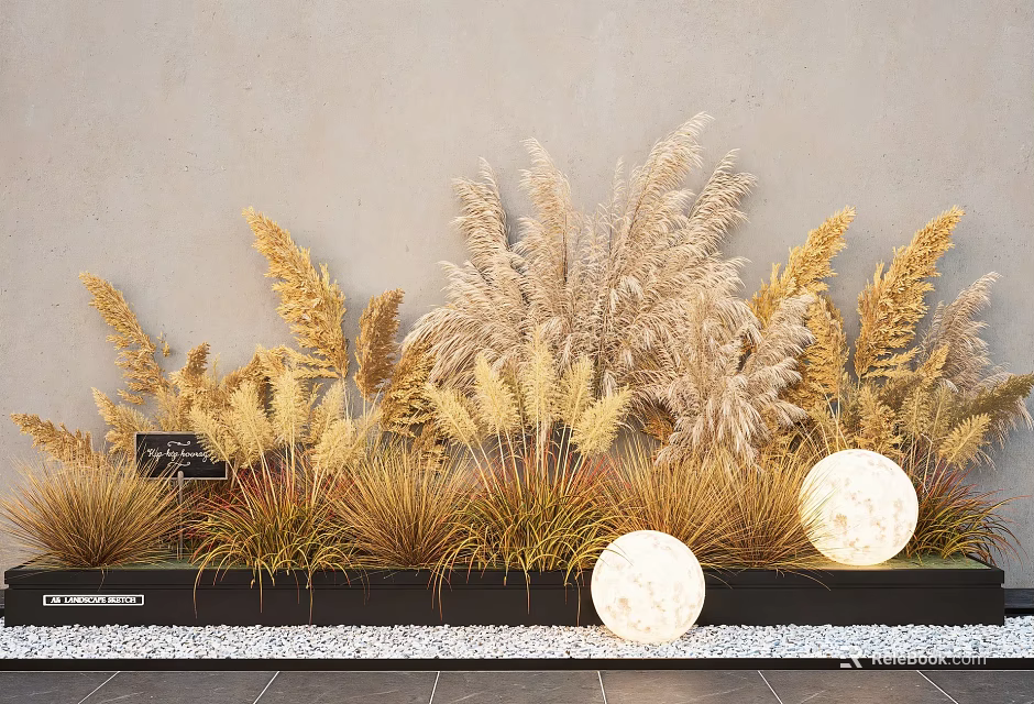 Dried Grasses And Pampas Grass Arrangement In Black Planter Gray Wall White Pebbles Round Lights 3d model 