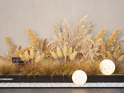 Dried Grasses And Pampas Grass Arrangement In Black Planter Gray Wall White Pebbles Round Lights 3d model