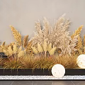 Dried Grasses And Pampas Grass Arrangement In Black Planter Gray Wall White Pebbles Round Lights