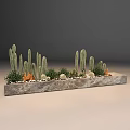 Potted Bonsai Succulent Arrangement With Cacti Small Pebbles And Rectangular Stone Planter 3d model