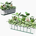 Flower and Plant Arrangement in White Perforated Planters with Green Leaves and Pink Blossoms