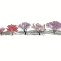 Colorful Flowering Arbor Trees In Various Pink Purple And Red Hues