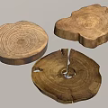Natural Wooden Tree Stump Slices With Visible Tree Ring Patterns For Rustic Decor 3d model