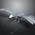 Realistic 3D Model of Eagle with Spread Gray Feathers on Black Background 3d model