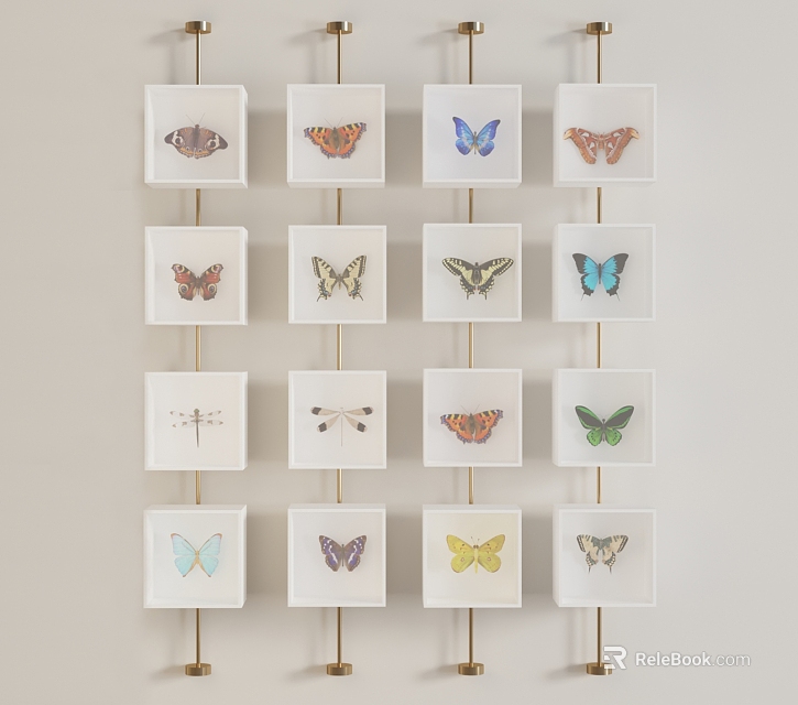 Butterfly Specimen Wall Decor With Various Styles In White Frames 3d model 