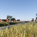 Rural Landscape Featuring Golden Rice Fields Traditional Houses And Pavilion Along Road Under Blue Sky