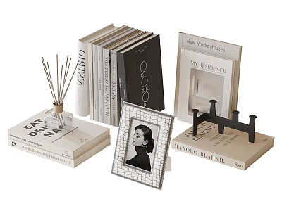 Stylish Book and Magazine Collection With Stacked Books Photo Frame Reed Diffuser and Display Stand 3d model