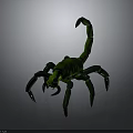 Green Scorpion 3D Model With Detailed Body Black Claws And Curved Tail