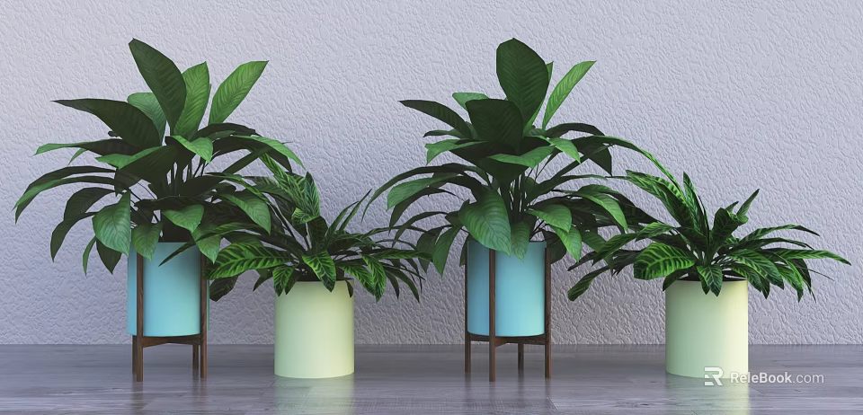 Bonsai Potted Plants with Lush Green Leaves in Light Blue and Green Pots on Stands 3d model 