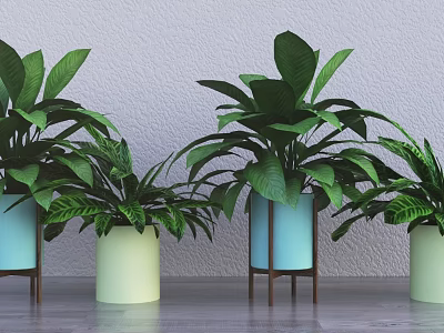 Bonsai Potted Plants with Lush Green Leaves in Light Blue and Green Pots on Stands 3d model