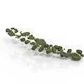 Wood and Stone Decorative Elements with Irregular Green Shapes in Curved Layout