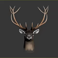 Realistic Brown Deer Head With Large Antlers And Detailed Fur Design