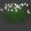 Cluster of White Small Flowers with Green Long Grass on Gray Background