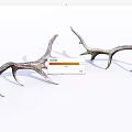 Natural Antler Animal Wall Decor Pieces for Rustic Home Decoration