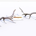 Modern antlers elk antlers 3d model