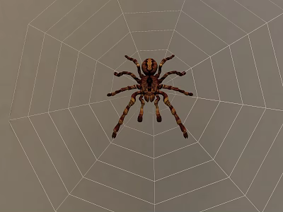 Reptile Spider Resting on Intricate Web with Detailed Leg Patterns 3d model