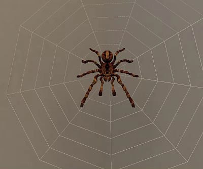 Modern Spider 3d model