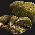 Natural Stone and Wood Materials with Mossy Texture and Rough Surface 3d model