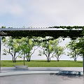 Modern Pergola Covered With Lush Green Vines Surrounded By Trees And Lawn
