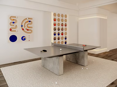 Modern Indoor Sports Equipment Table Tennis Table With Decorative Wall Patterns And Rug 3d model