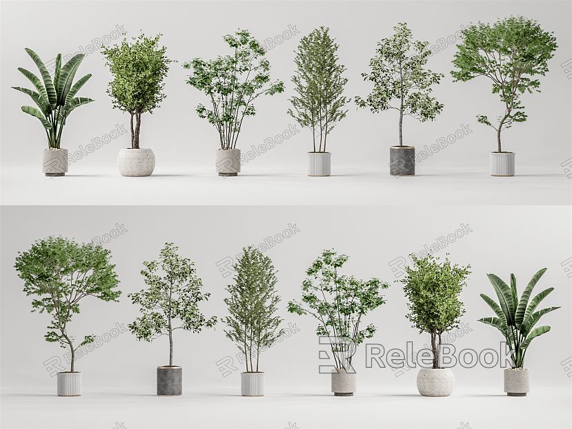 Modern potted plant potted landscape tree model