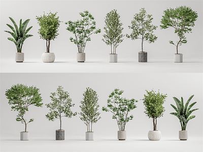 Modern potted plant potted landscape tree 3d model