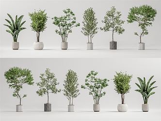 Modern potted plant potted landscape tree 3d model