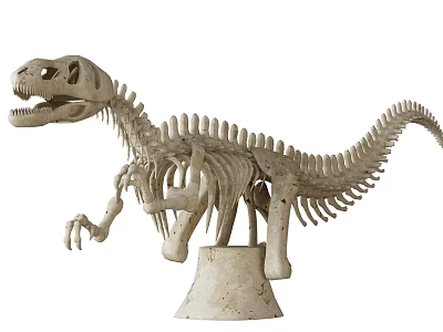 Modern Fossil Bone Dragon 3d model