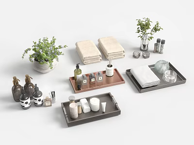 Decorative Ornament Set With Trays Towels Bottles Cups And Green Plants 3d model