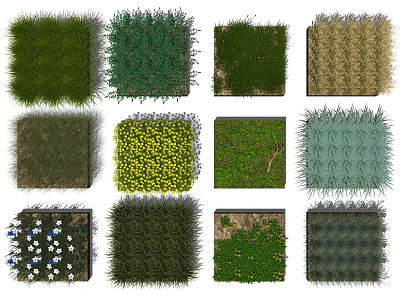 Various Types of Flowers and Plants with Green Grass and Colorful Blooms 3d model