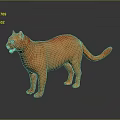 Orange Cat Standing On Gray Surface With Reflection In Studio Setting