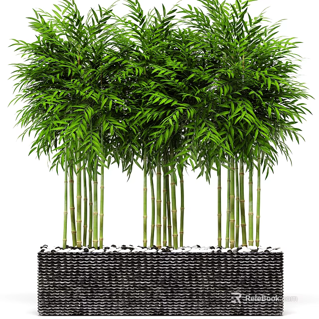 Lush Bamboo With Green Leaves And Stems In Black Woven Container With Small Pebbles 3d model 