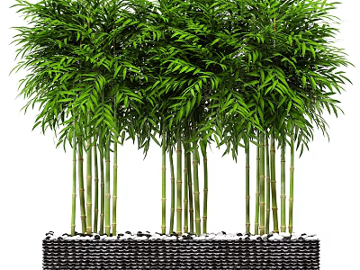 Lush Bamboo With Green Leaves And Stems In Black Woven Container With Small Pebbles 3d model