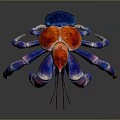 Vibrant Colorful Crab With Red Blue Purple Shell And Spotted Legs