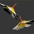 Two Beautiful Plumeria Flowers With White Petals And Yellow Center On Gray Background With Reflection