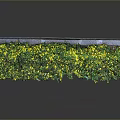 Lush Green Plant Wall with Yellow Accents Against Gray Background and Reflective Surface