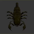 Metallic Scorpion Model Standing On Gray Background With Detailed Features And Lighting 3d model