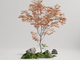 arbor landscape tree 3d model