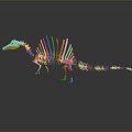 Modern Dinosaur Fossil Skeleton Animal Skeleton Skeleton 3d model