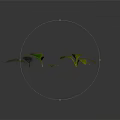 Four Green Plants Fern Yellow Edged Leaves Small Palm Like And Leafy On Dark Background