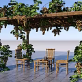Pergola with Green Vines and Grapes Over Wooden Chairs and Table in Outdoor Patio