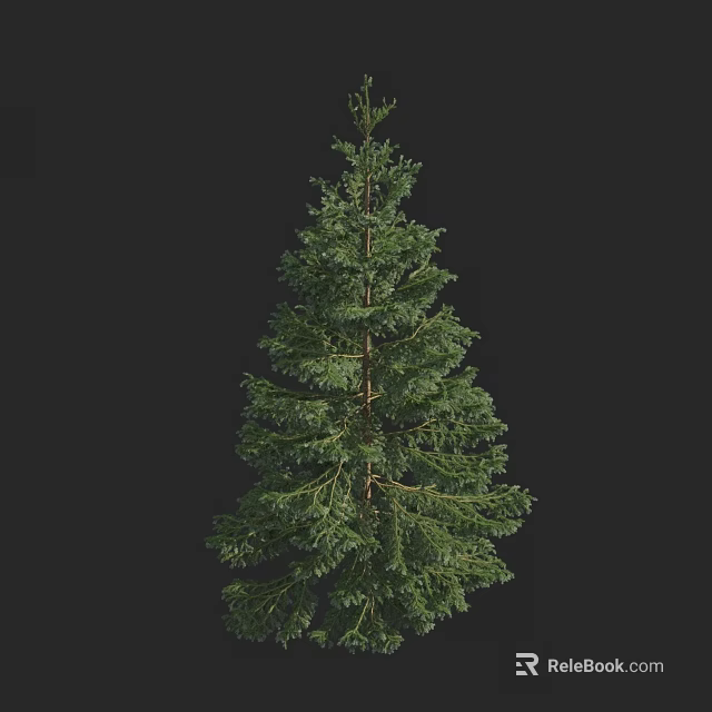 Tall Evergreen Arbor With Lush Green Foliage And Natural Branch Growth 3d model 