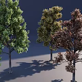 Three Arbor Trees Featuring Different Leaf Colors Green Yellow and Brown 3d model